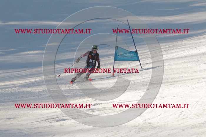 MAT_8682.JPG