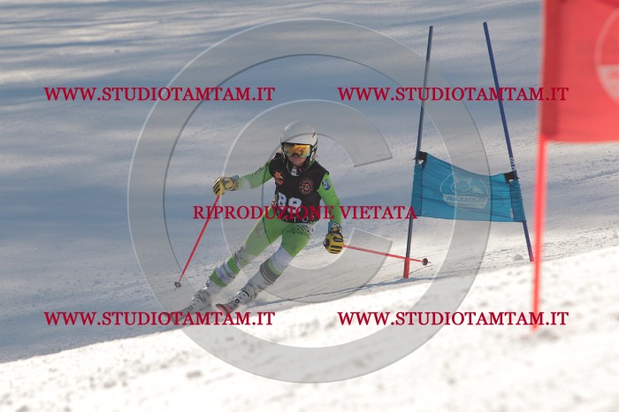 MAT_8764.JPG