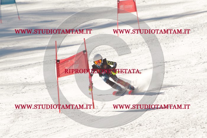 MAT_8790.JPG