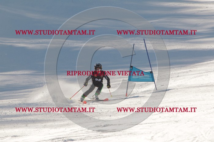 MAT_8802.JPG