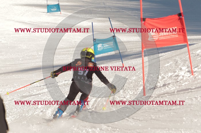 MAT_8877.JPG