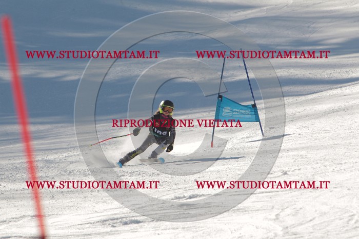 MAT_8917.JPG