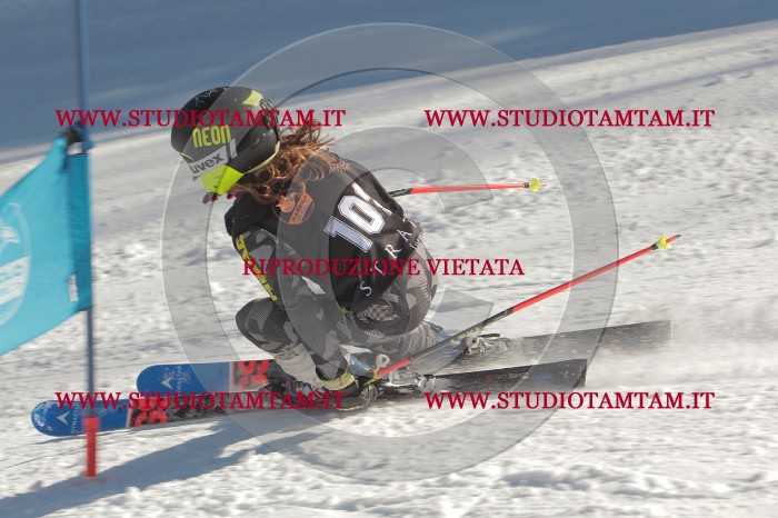 MAT_8926.JPG