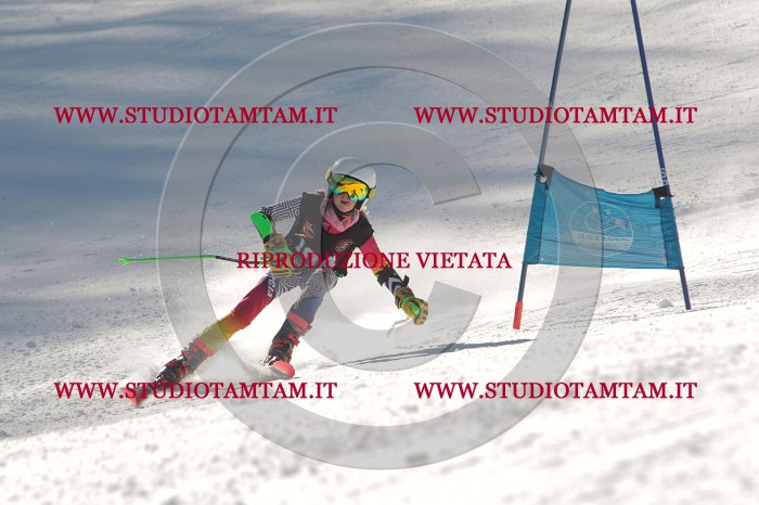 MAT_8948.JPG