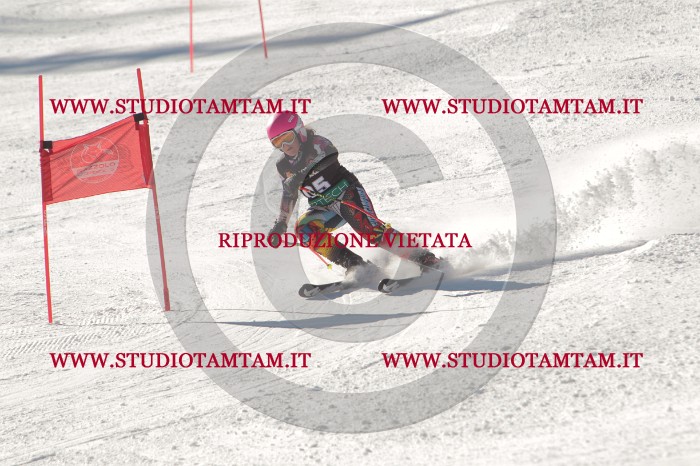 MAT_8962.JPG