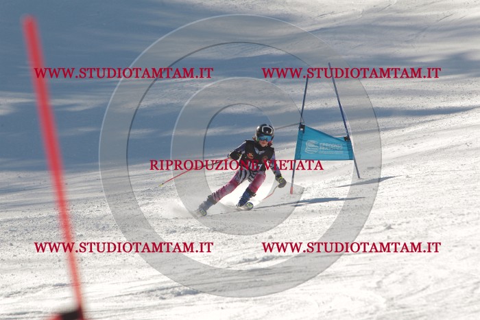 MAT_8989.JPG