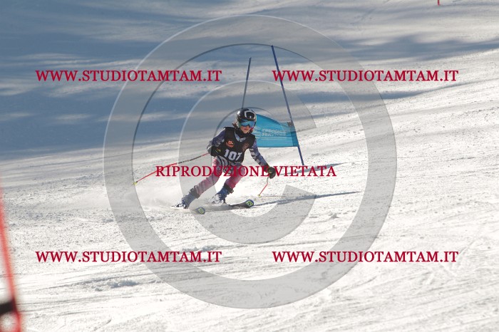 MAT_8990.JPG