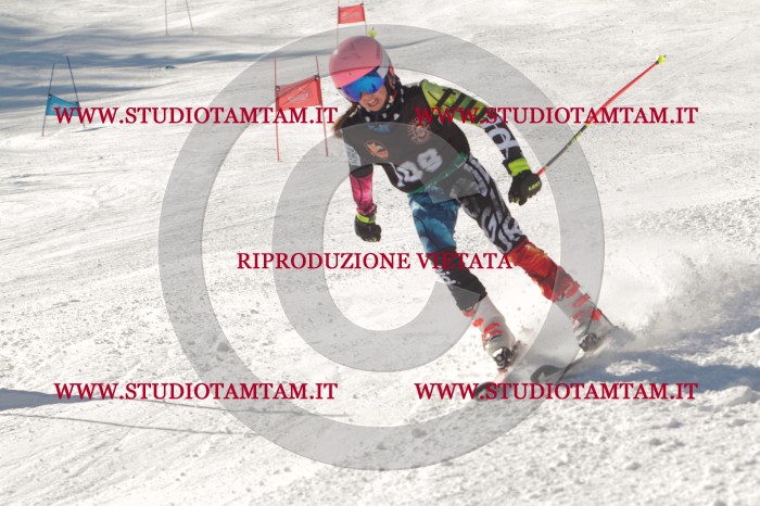 MAT_9019.JPG