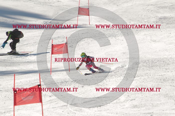 MAT_9021.JPG