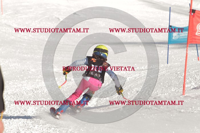 MAT_9034.JPG