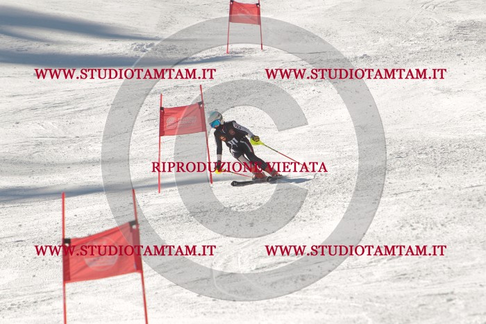 MAT_9036.JPG
