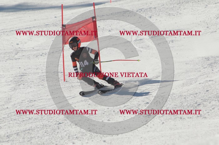 MAT_9068.JPG