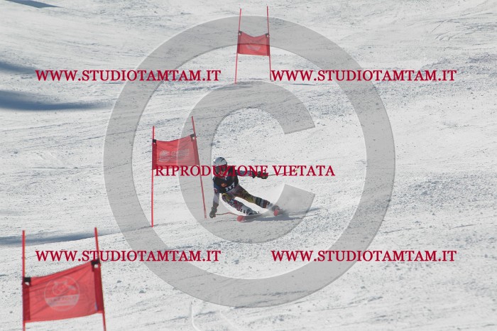 MAT_9092.JPG