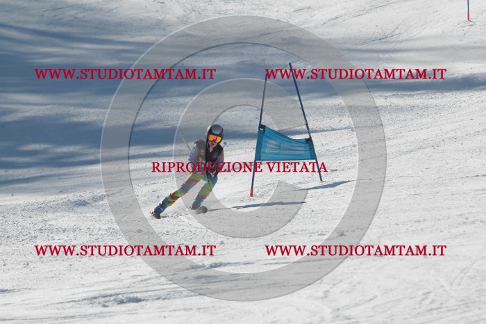 MAT_9109.JPG