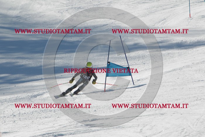 MAT_9131.JPG