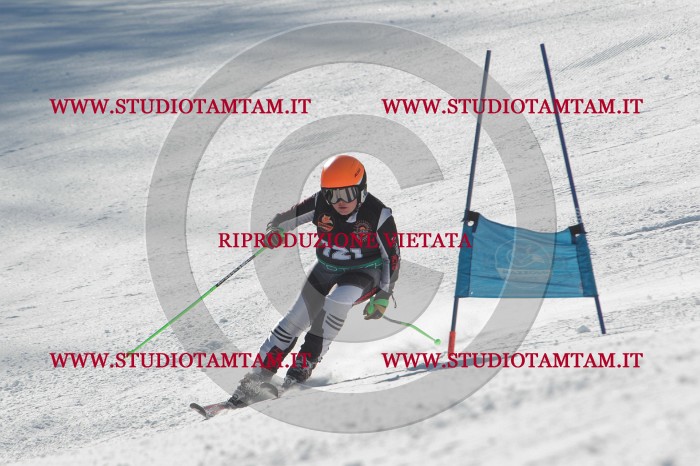 MAT_9148.JPG