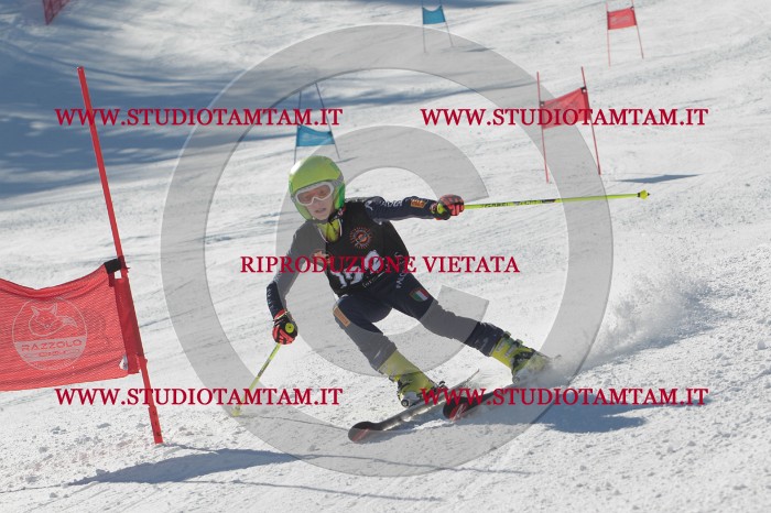 MAT_9164.JPG