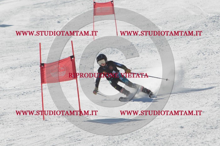 MAT_9317.JPG
