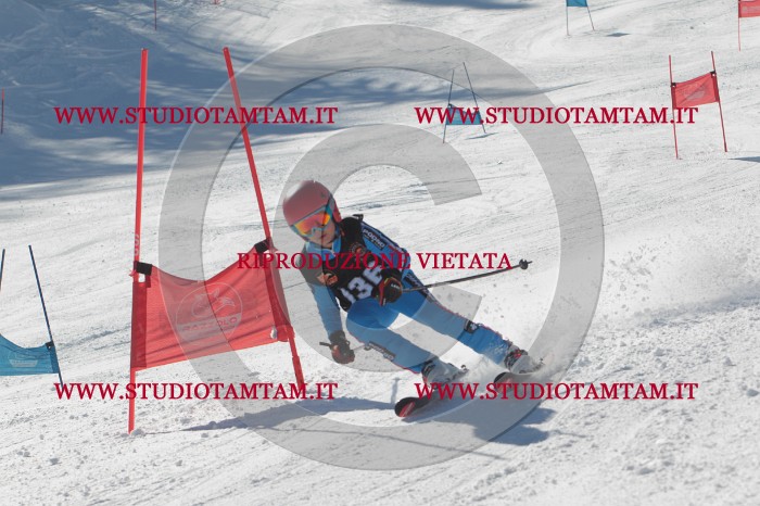 MAT_9348.JPG