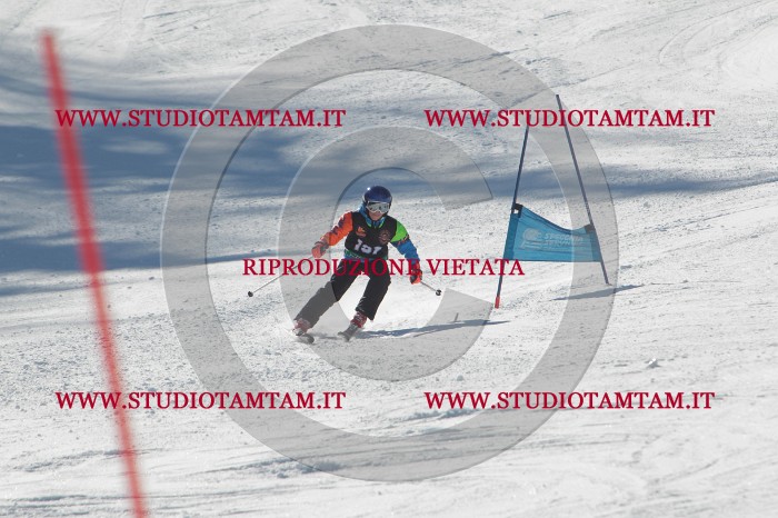 MAT_9357.JPG