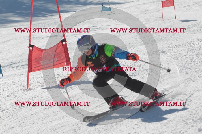 MAT_9364.JPG