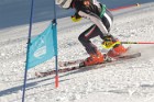 MAT_9048