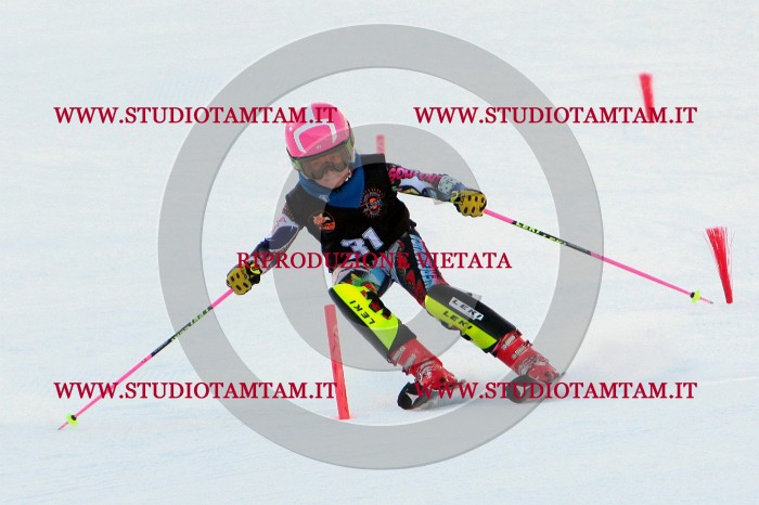 MAT_6455.jpg
