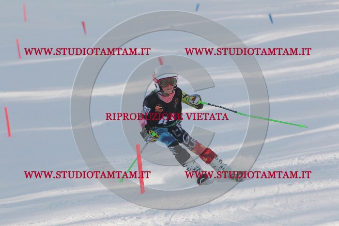 MAT_6605.JPG