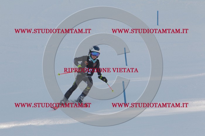 MAT_6689.JPG