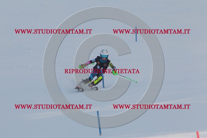 MAT_6712.JPG