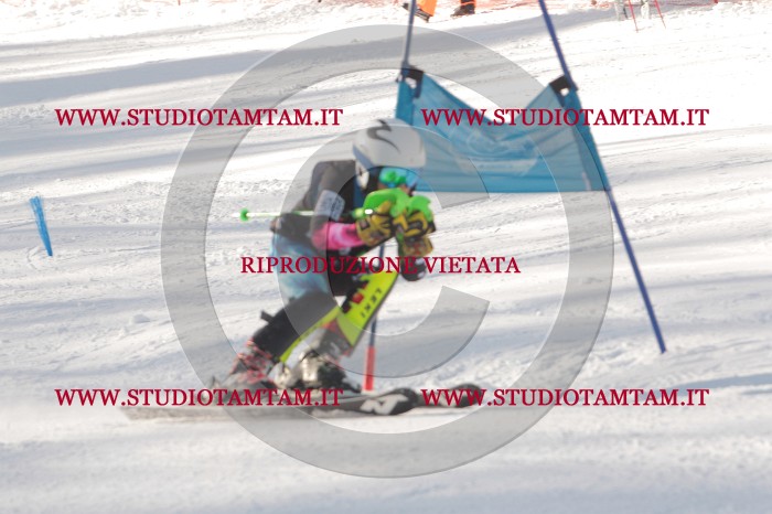 MAT_6721.JPG