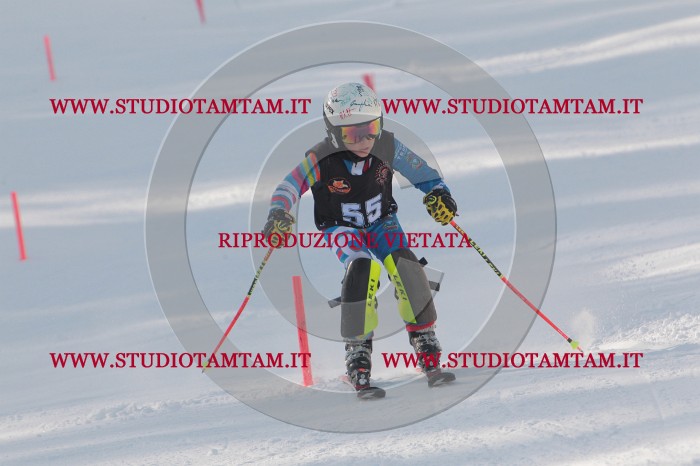 MAT_6738.JPG