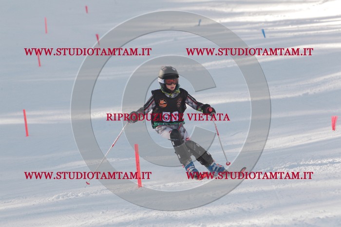 MAT_6751.JPG