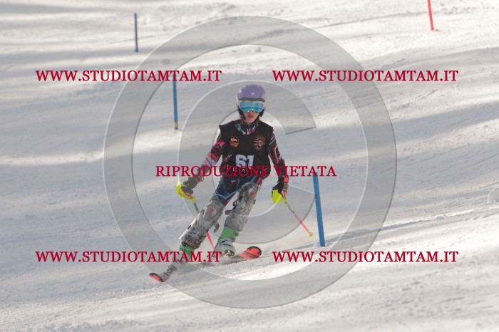 MAT_6808.JPG