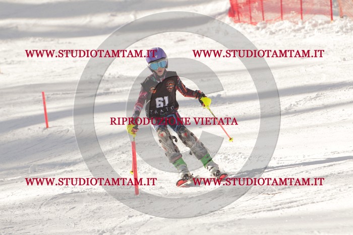 MAT_6809.JPG