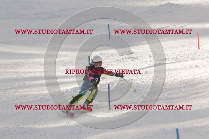 MAT_6823.JPG