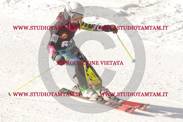 MAT_6828.JPG
