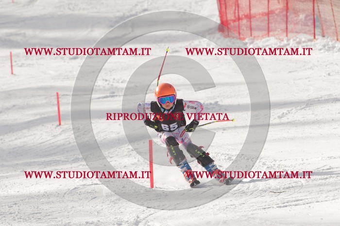 MAT_6847.JPG