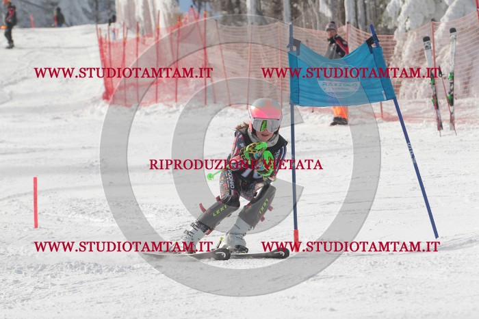 MAT_6892.JPG