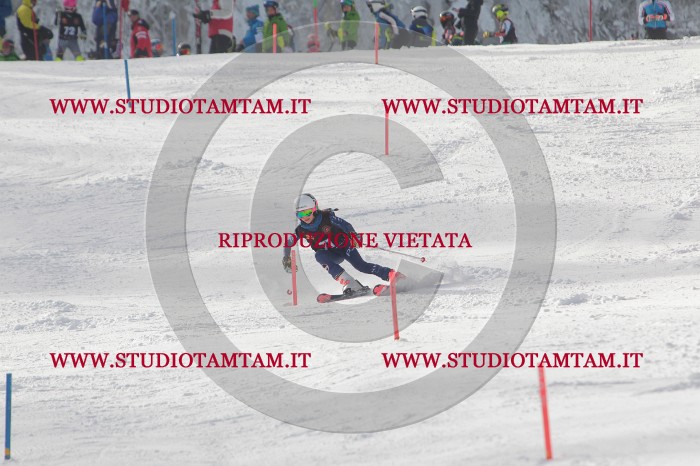 MAT_6894.JPG