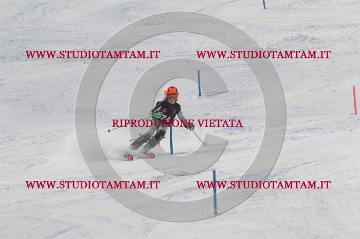MAT_6922.JPG