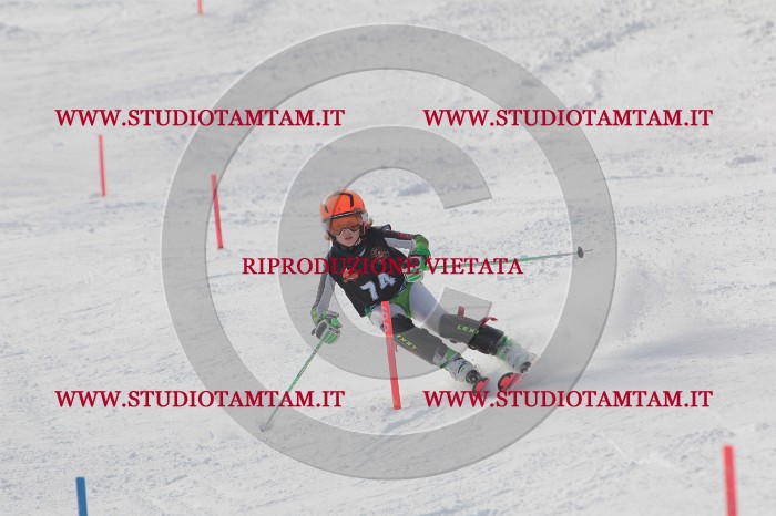 MAT_6925.JPG