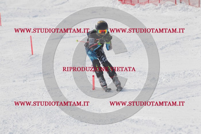 MAT_6969.JPG