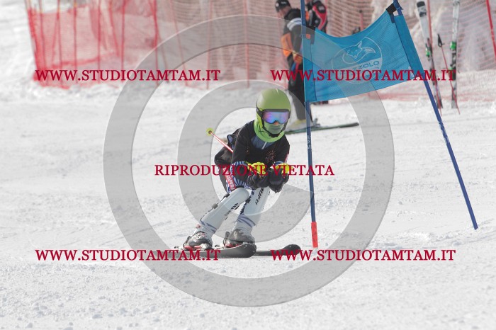 MAT_6998.JPG