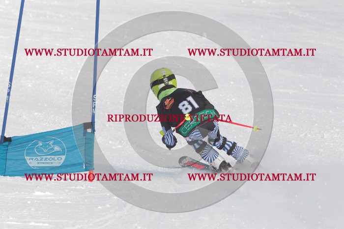 MAT_7000.JPG