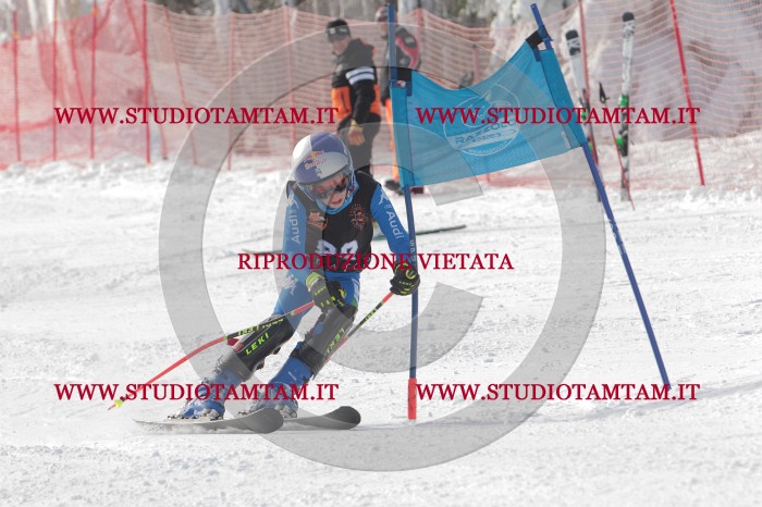 MAT_7008.JPG