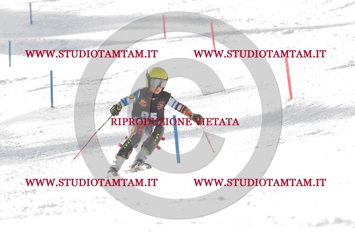 MAT_7035.JPG