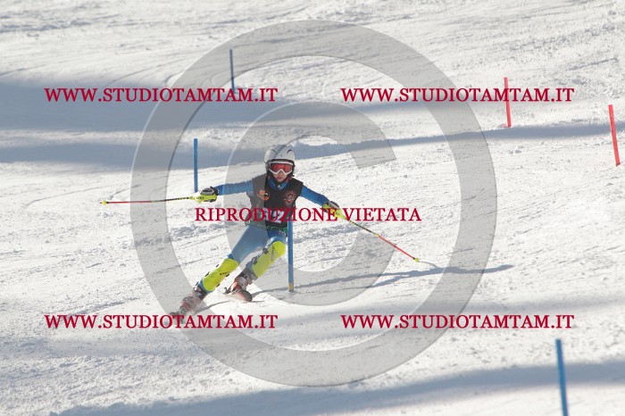 MAT_7092.JPG