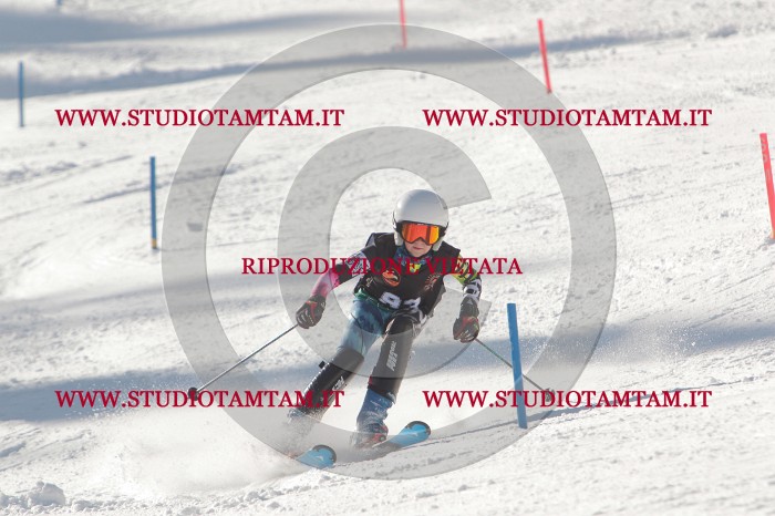 MAT_7102.JPG