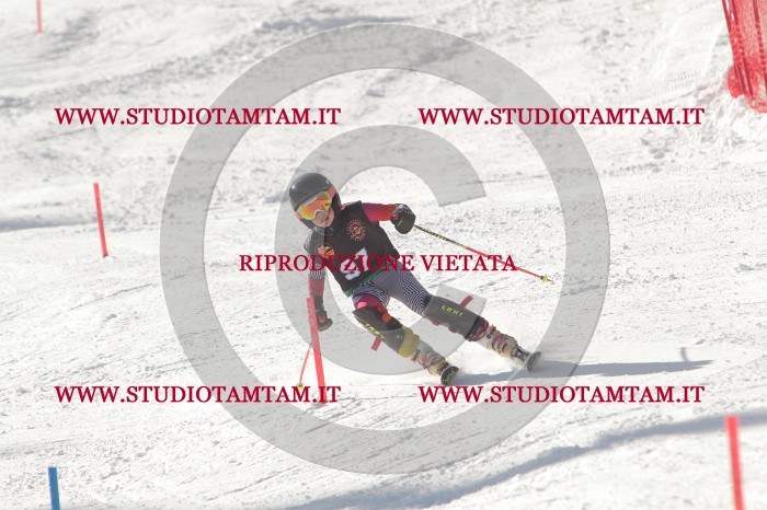 MAT_7138.JPG